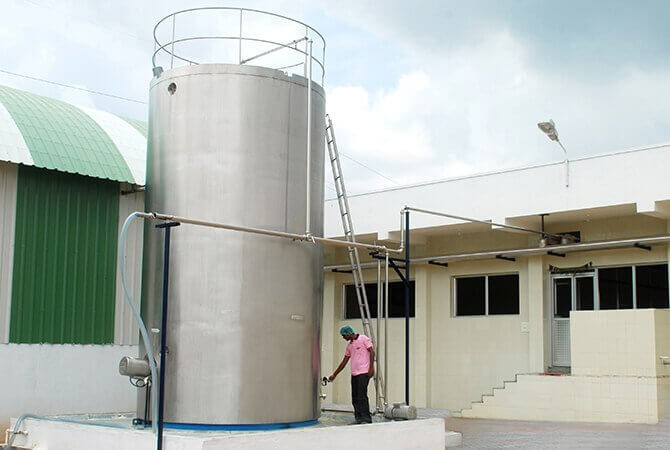 Milked Magic Milk Procurement